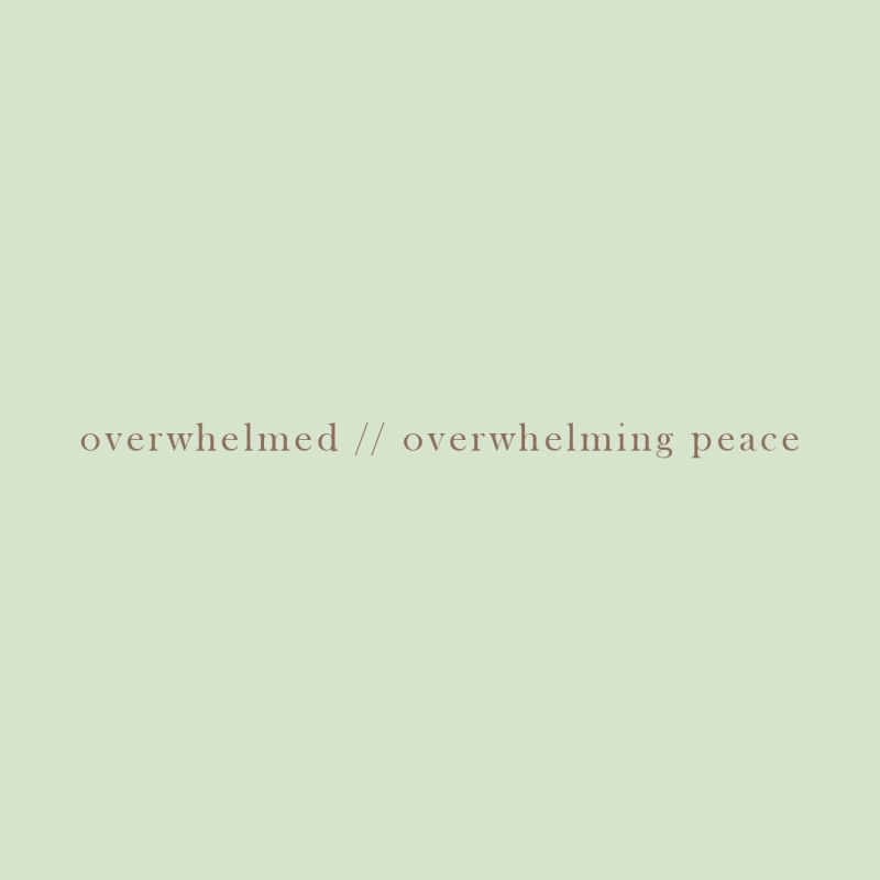OVERWHELMED//OVERWHELMING PEACE